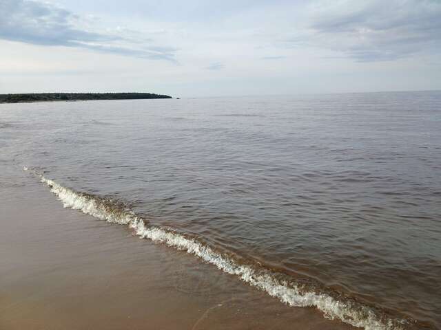 Отель Ёлки Коктебель-64